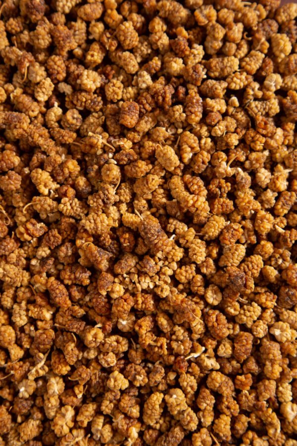 Dry Mulberries