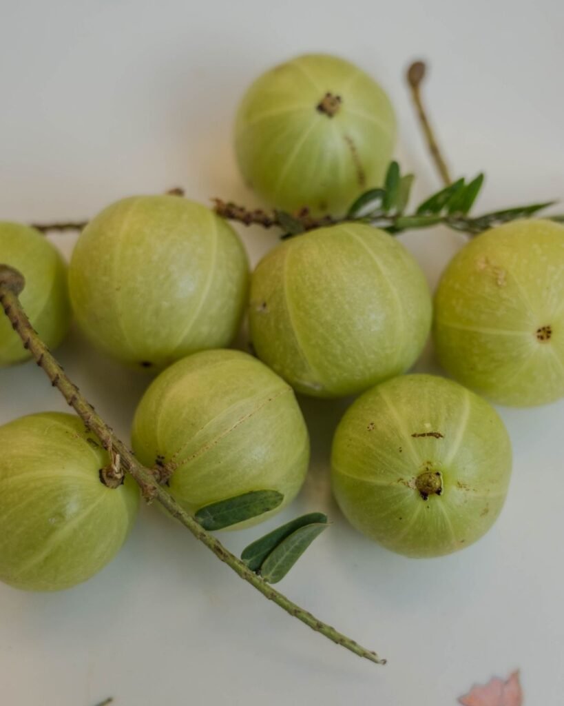 gooseberry