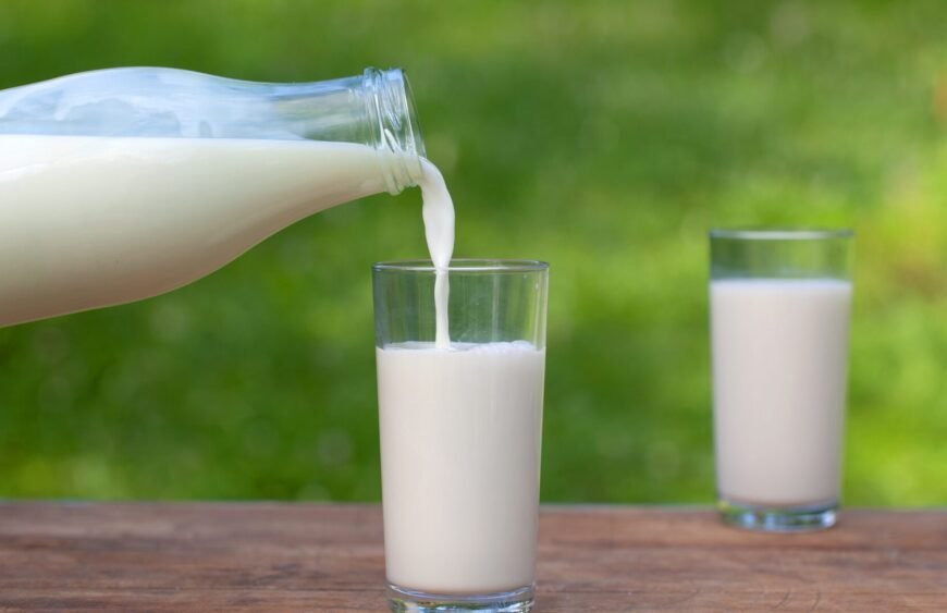 pumpkin seed milk benefits